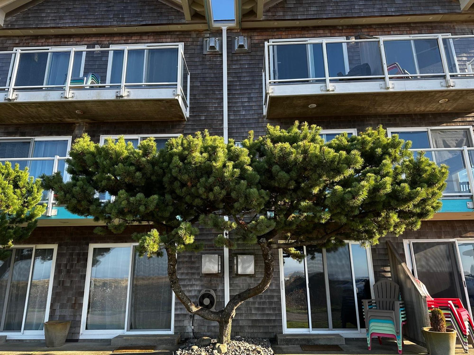 Inn At The Shore Seaside Exterior foto